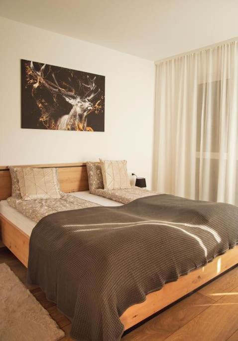 5 Dream Apartment 5 Cu Parcare Privata Oradea Ngoại thất bức ảnh